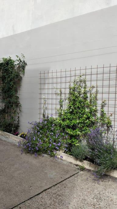 Experience Inouie A Orleans ! Apartamento Exterior foto
